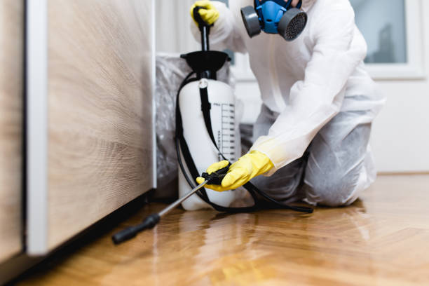 Flea Control Services in Orangeville, UT