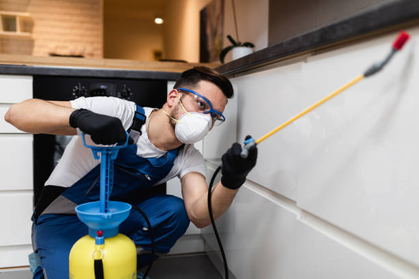 Best Flea Control Services  in Orangeville, UT