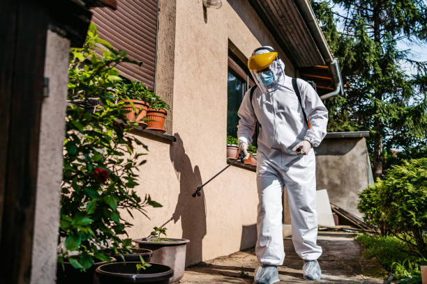 Bird Control in Orangeville, UT