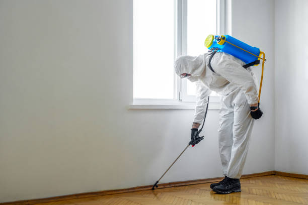 Best Best Pest Control Companies  in Orangeville, UT