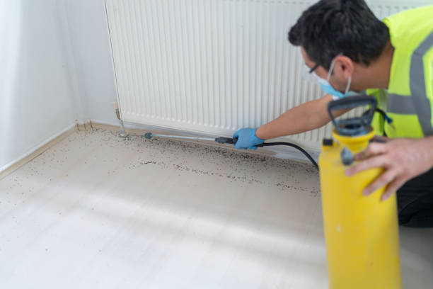 Best Affordable Pest Control Services  in Orangeville, UT