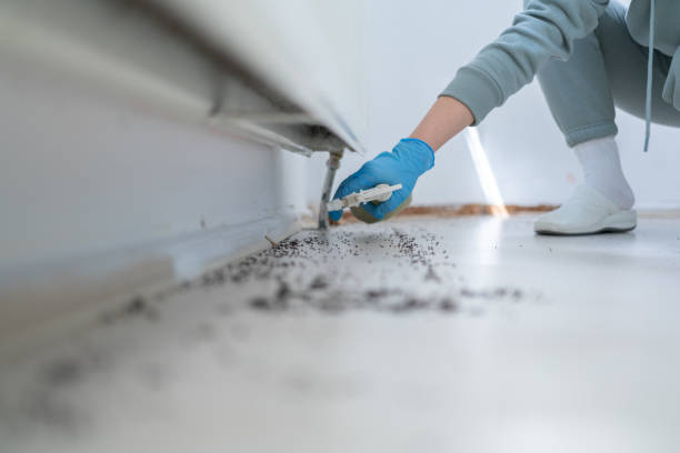 Orangeville, UT Pest Control Company