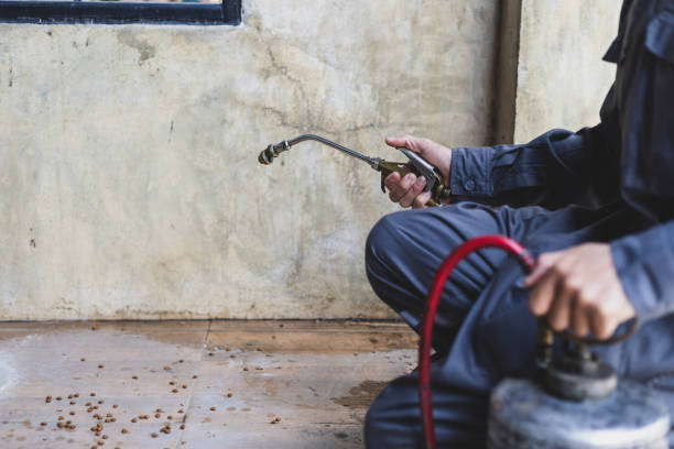 Best Local Pest Control Services  in Orangeville, UT